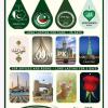 Deluxe Air Freshener Cards Cars Offices Homes  14 Designs