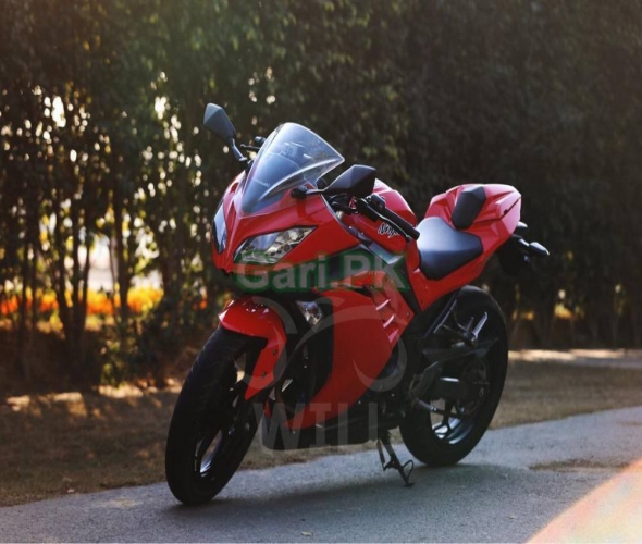 Kawasaki Ninja ZX300  2019