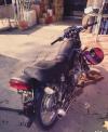 Suzuki GS 150 2014 for Sale in Islamabad