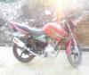 Yamaha YBR 125 2019 for Sale in Kohat