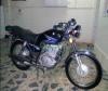 Suzuki GS 150 2013 for Sale in Karachi