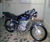 Suzuki GS 150 2013 for Sale in Islamabad