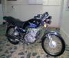 Suzuki GS 150 2013 for Sale in Karachi