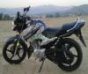 Yamaha YBR 125 2015 for Sale in Bhimber