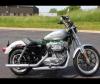 Harley Davidson 883 Low 2014 for Sale in Karachi