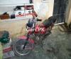 Aprilia RS 50 2010 for Sale in Rawalpindi