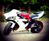 Yamaha YZF R1 2005 for Sale in Islamabad