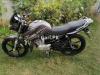 Yamaha YBR 125 2015 for Sale in Jhelum