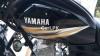 Yamaha YBR 125 2019 for Sale in Dera Ghazi Khan