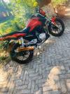 Road Prince Wego 150 2019 for Sale in Sargodha