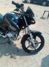 Yamaha YBR 125 2017 for Sale in Lahore