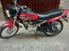 Yamaha YBR 125 2019 for Sale in Lahore