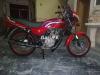 Honda Deluxe 2013 for Sale in Sargodha