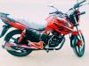 Honda 50cc 2019 for Sale in Jhang Sadar