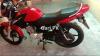 Yamaha YBR 125 2019 for Sale in Jhelum