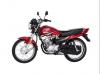 Yamaha YBR 125 2019 for Sale in Chichawatni