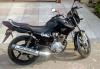 Yamaha YBR 125 2019 for Sale in Rawalpindi