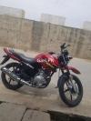 Yamaha YBR 125 2019 for Sale in Gujrat