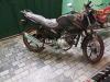 Yamaha YBR 125 2019 for Sale in Chishtian