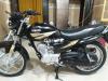 Yamaha YB 125Z 2019 for Sale in Dera Ismail Khan