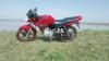 Yamaha YBR 125 2015 for Sale in Gujrat