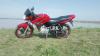 Yamaha YBR 125 2015 for Sale in Gujrat