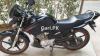 Yamaha YBR 125 2019 for Sale in Karachi