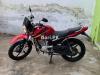 Yamaha YBR 125 2019 for Sale in Nowshera