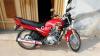 Yamaha YBR 125 2019 for Sale in Mandi Bahauddin