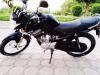 Yamaha YBR 125 2016 for Sale in Rawalpindi