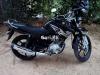Yamaha YBR 125 2019 for Sale in Islamabad