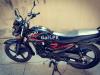 Suzuki GR 150 2019 for Sale in Lahore