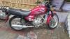 Suzuki GS 150 SE 2017 for Sale in Lahore