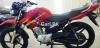 Yamaha YBR 125 2019 for Sale in Karachi