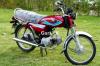 Honda CD 70 2019 for Sale in Islamabad