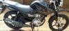 Yamaha YBR 125 2019 for Sale in Shakargarh