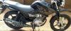 Yamaha YBR 125 2019 for Sale in Shakargarh