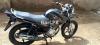 Yamaha YBR 125 2019 for Sale in Sialkot