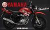 Yamaha YBR 125 2020 for Sale in Lahore