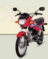 Honda CD Dream 2019 for Sale in Pakpattan