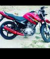 Yamaha YBR 125 2019 for Sale in Islamabad