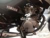 Yamaha YBR 125G 2019 for Sale in Kot Addu