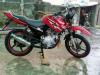 Yamaha YBR 125 2016 for Sale in Jhelum