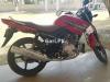 Yamaha YBR 125 2017 for Sale in Multan