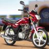 Suzuki GD 110 2019 for Sale in Rahim Yar Khan