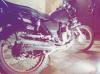 Suzuki GS 150 2016 for Sale in Rahim Yar Khan