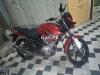 Yamaha YBR 125 2019 for Sale in Rawalpindi