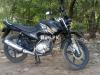 Yamaha YBR 125 2019 for Sale in Kohat