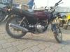 Suzuki GS 150 2008 for Sale in Rawalpindi