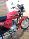 Yamaha YBR 125 2020 for Sale in Chiniot